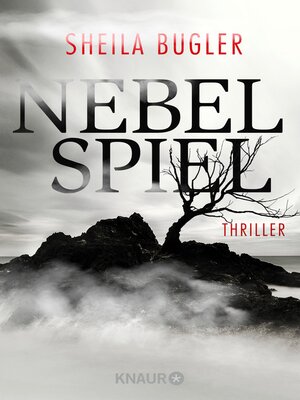 cover image of Nebelspiel